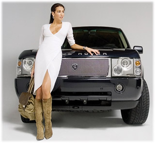 320-strut-land-rover-range-rover-windsor-f.jpg