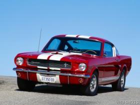 45793_wallpaper280.jpg